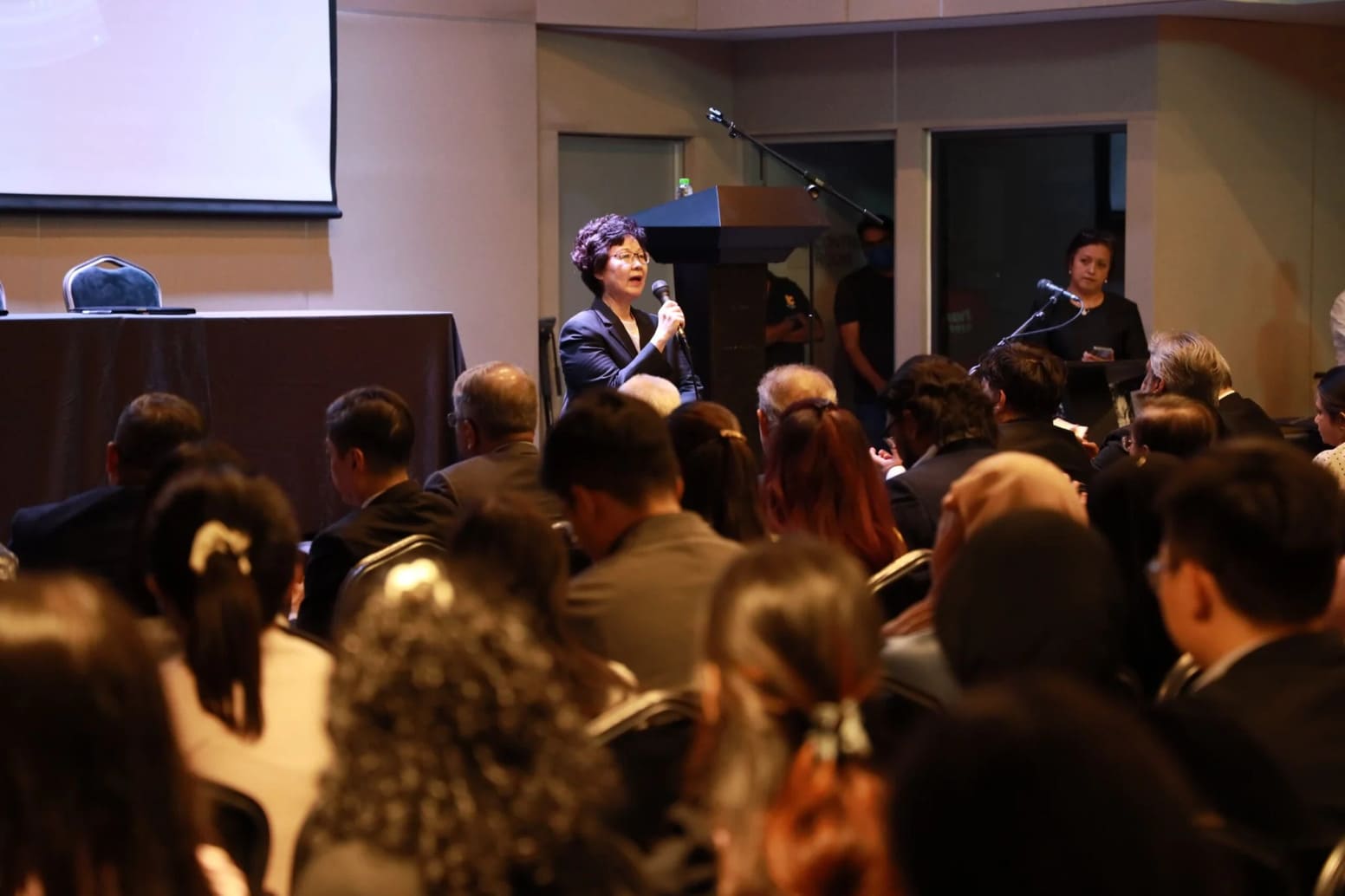 The Role of Judges in Promoting Access to Justice 2