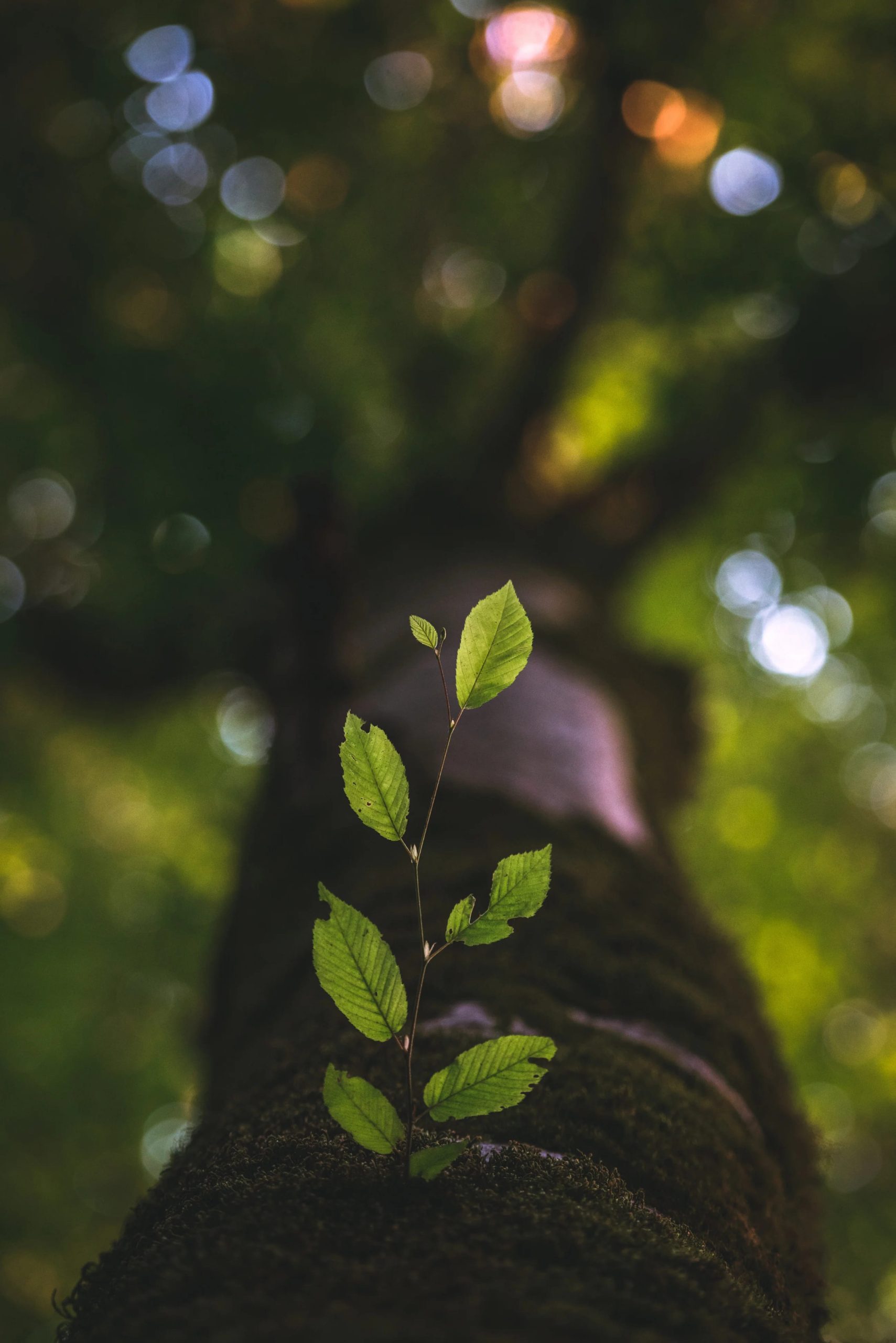 YOUR Innovation, YOUR Growth 2