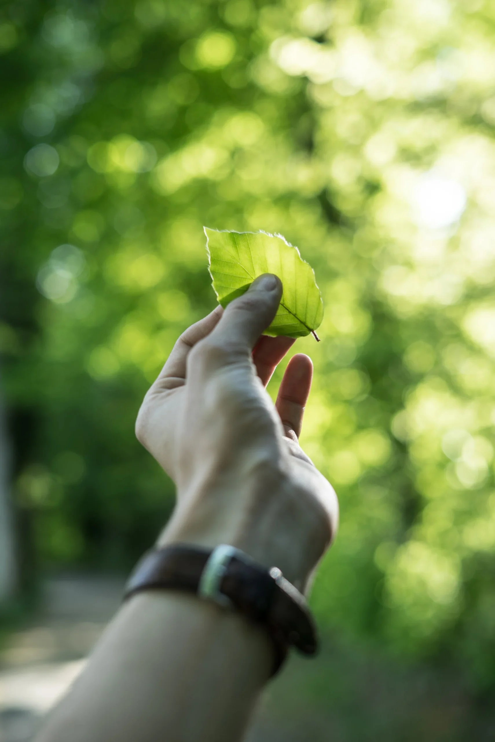 sh-unsplash_hxpomxrpup0-1880x2815